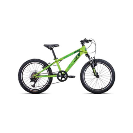 Apex 20 Inch Mountain Bicycle Green For Boys A200