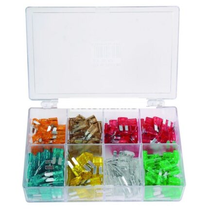 200 Pieces Assorted Mini Blade Fuse Set in plastic carry case